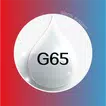 GA65 Logo